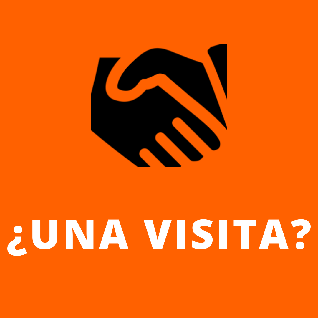 visita